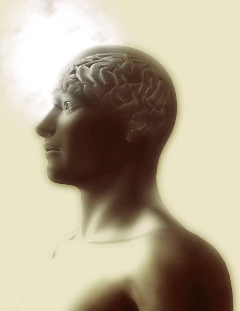 What’s so special about our human brains?