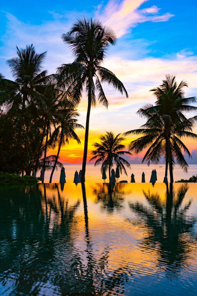 In Paradise!