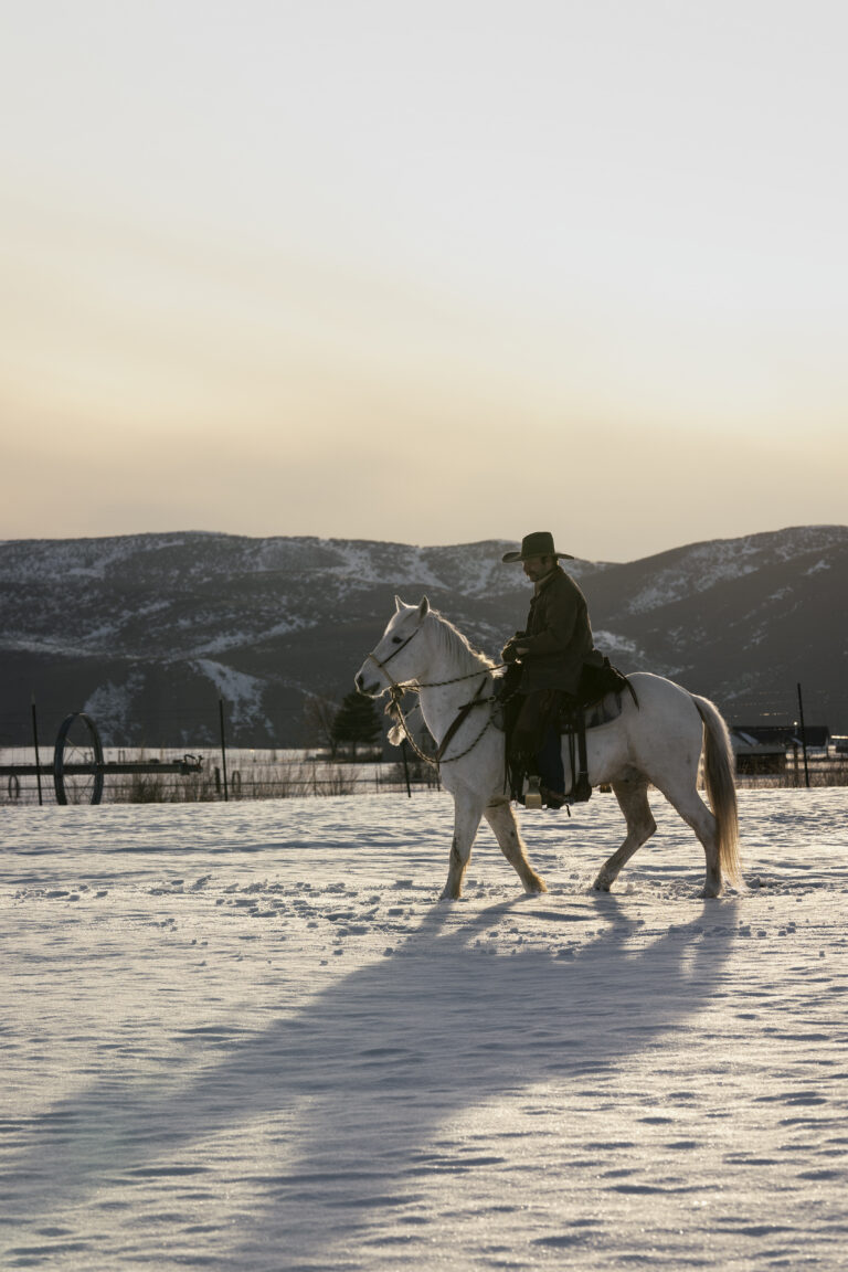 Rider on a White Horse!